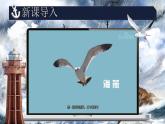 部編版2024九年級(jí)下冊語文4.海燕 課件