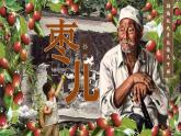 部編版2024九年級(jí)下冊(cè)語文19.棗兒 課件