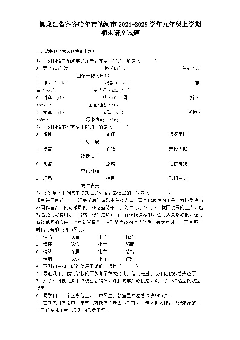 黑龙江省齐齐哈尔市讷河市2024-2025学年九年级上学期期末语文试题第1页