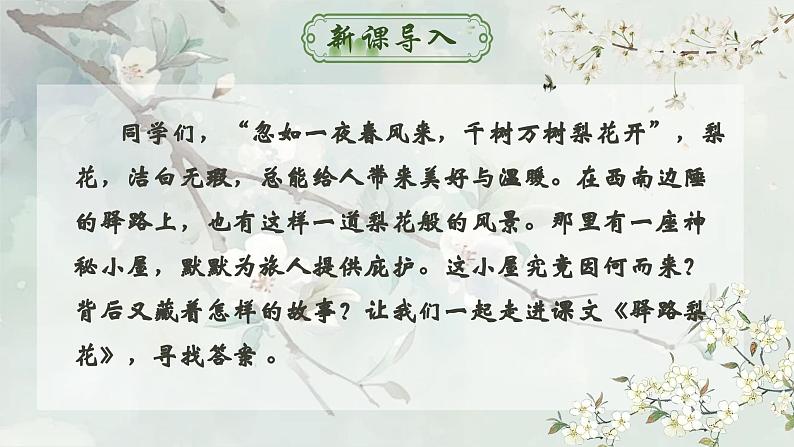 人教部编版初中语文七年级下册 《14.驿路梨花》课件第2页