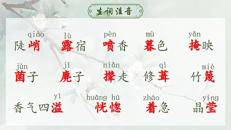 人教部编版初中语文七年级下册 《14.驿路梨花》课件第6页