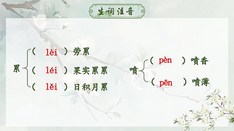 人教部编版初中语文七年级下册 《14.驿路梨花》课件第8页