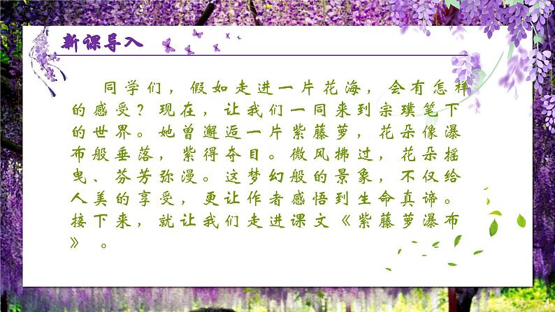 人教部编版初中语文七年级下册 《19.紫藤萝瀑布》课件第2页