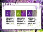 人教部编版初中语文七年级下册 《19.紫藤萝瀑布》课件+教案