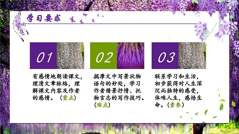 人教部编版初中语文七年级下册 《19.紫藤萝瀑布》课件第3页