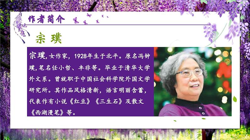 人教部编版初中语文七年级下册 《19.紫藤萝瀑布》课件第4页