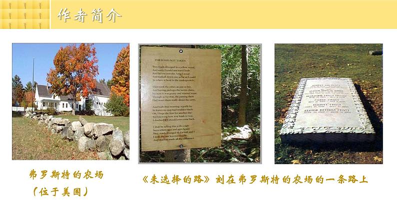 人教部编版初中语文七年级下册 《20.外国诗二首-未选择的路》课件第4页