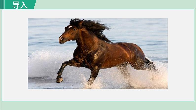 统编版语文八年级下册课件《马说》第1页