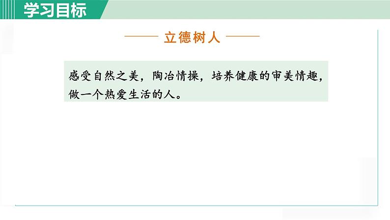 统编版语文八年级下册课件《小石潭记》第4页