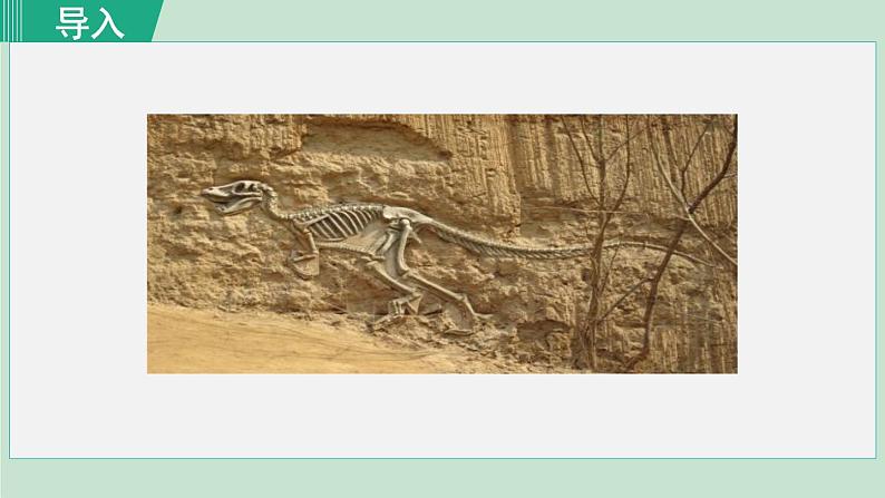 统编版语文八年级下册课件《时间的脚印》第1页