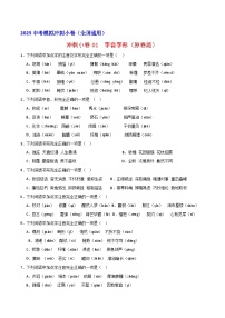 【备考2025】中考语文二轮 冲刺小卷01  字音字形 试卷（原卷版+解析版）