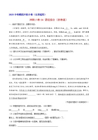 【备考2025】中考语文二轮 冲刺小卷04 语段综合 试卷（原卷版+解析版）