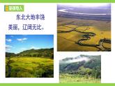 【任务型教学】修订版统编教材七下8 《 土地的誓言》课件+教案+导学案（师生版）+同步测试（含答案）