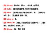 第三单元复习讲义+课件