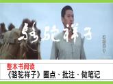 整本书阅读《骆驼祥子》圈点、批注、做笔记（课件+教案+测试）