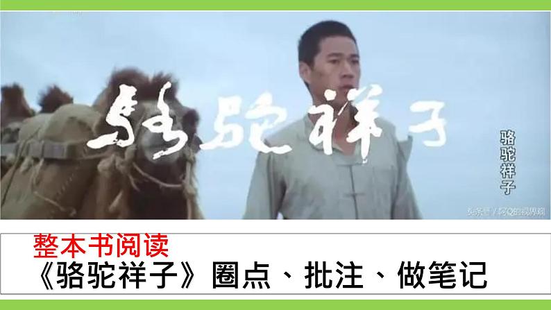 整本书阅读《骆驼祥子》圈点、批注、做笔记第2页