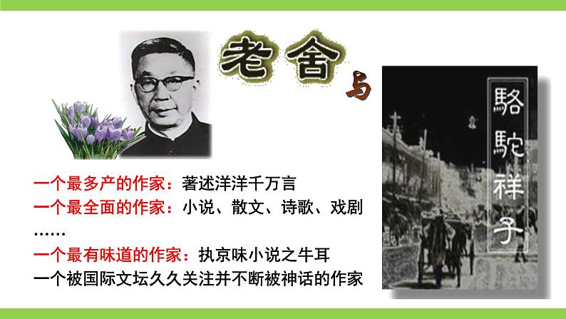 整本书阅读《骆驼祥子》圈点、批注、做笔记第8页