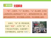 【任务型教学】统编语文八下1《社戏》 课件+教案+导学案（师生版）+同步测试（含答案）