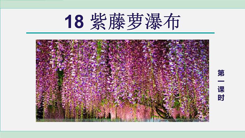 七年级语文下册课件《紫藤萝瀑布》第2页