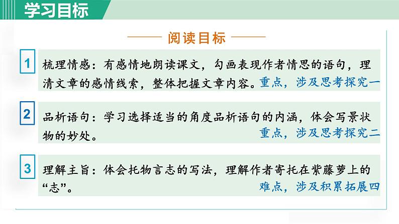 七年级语文下册课件《紫藤萝瀑布》第3页