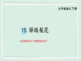 七年级语文下册课件《驿路梨花》