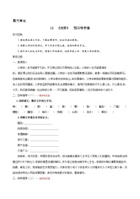 语文七年级下册（2024）台阶优秀学案设计