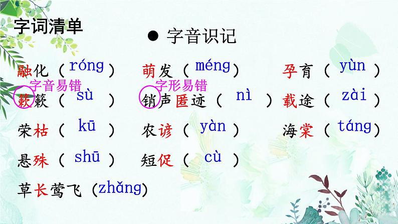 5 大自然的语言第6页