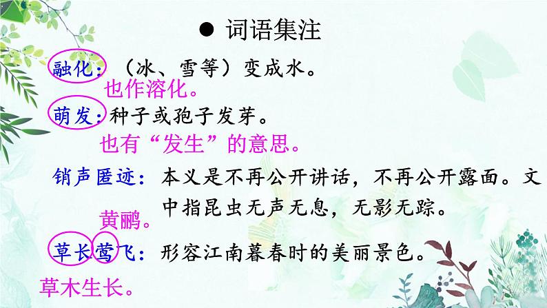 5 大自然的语言第8页