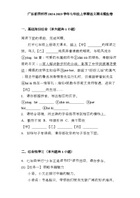 广东省深圳市2024-2025学年七年级上学期 语文期末模拟卷（含解析）