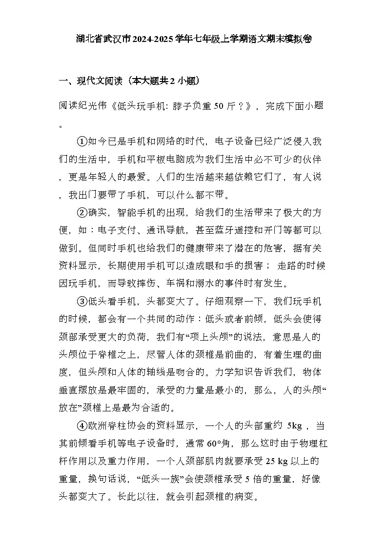 湖北省武汉市2024-2025学年七年级上学期 语文期末模拟卷（含解析）第1页