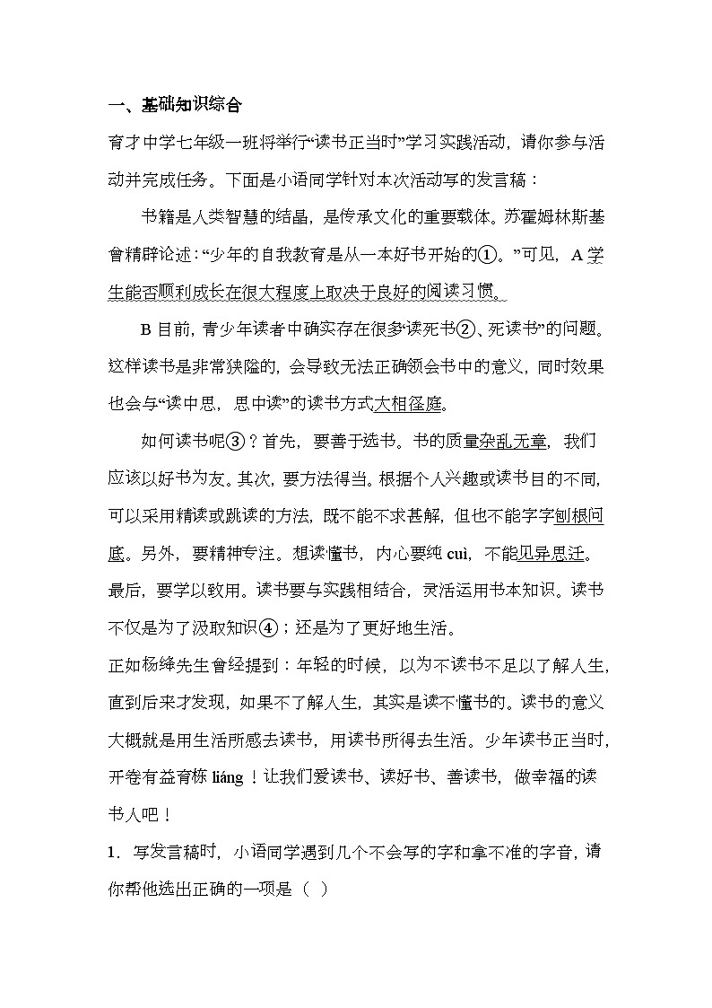 山东省临沂市罗庄区2024-2025学年七年级上学期期末 语文试题（含解析）第1页
