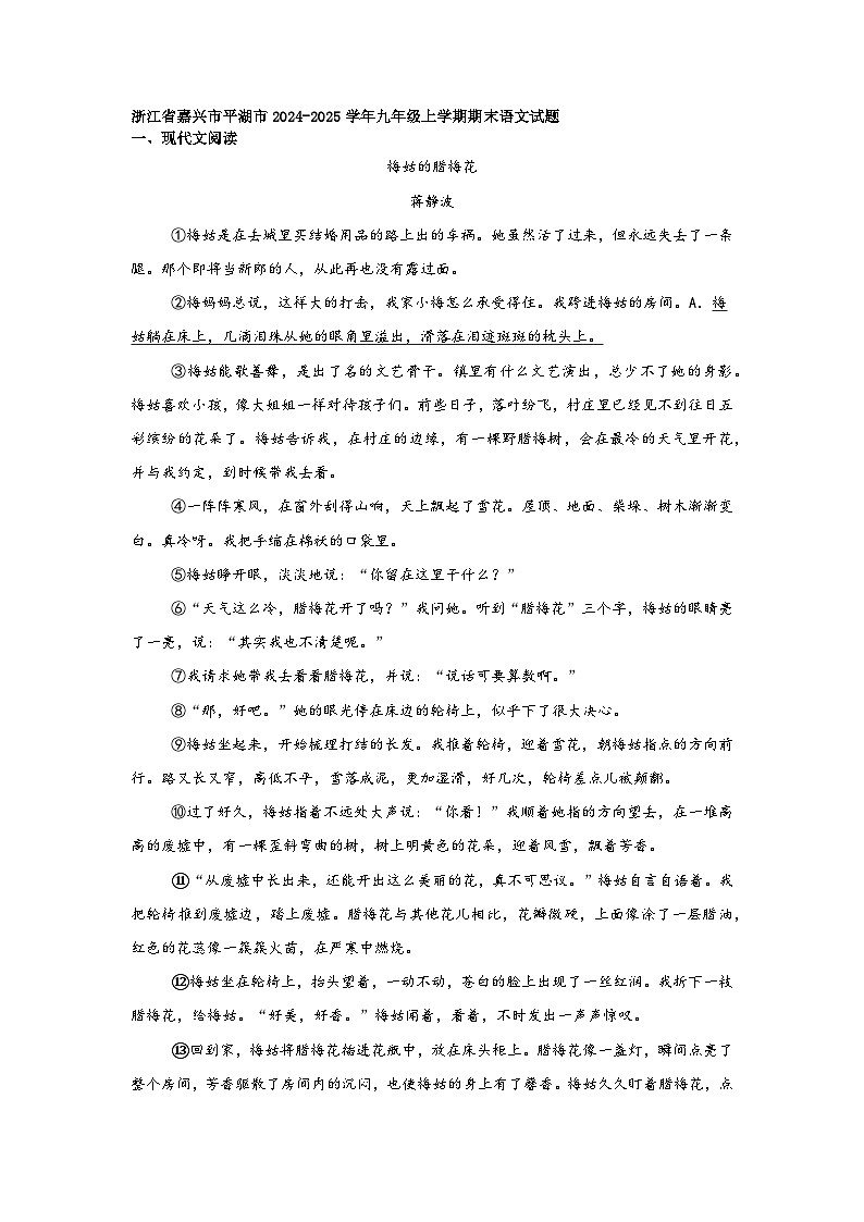 浙江省嘉兴市平湖市2024-2025学年九年级上学期期末语文试题第1页