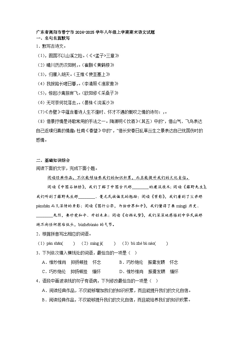 广东省揭阳市普宁市2024-2025学年八年级上学期期末语文试题第1页