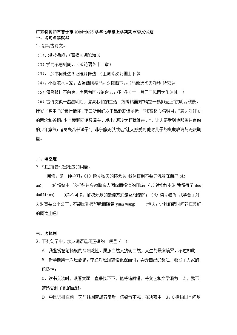 广东省揭阳市普宁市2024-2025学年七年级上学期期末语文试题第1页