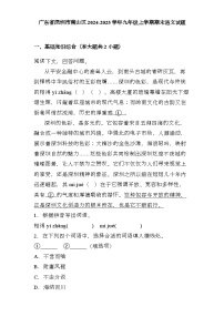 广东省深圳市南山区2024-2025学年九年级上学期期末 语文试题