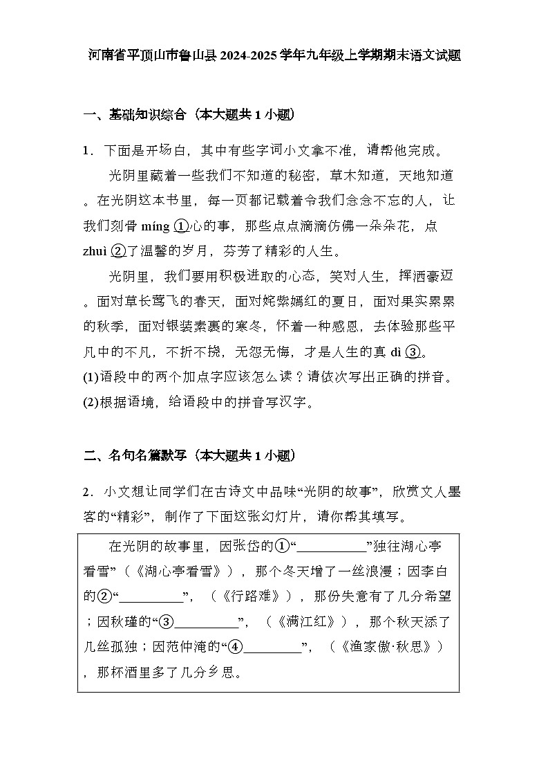河南省平顶山市鲁山县2024-2025学年九年级上学期期末 语文试题（含解析）第1页
