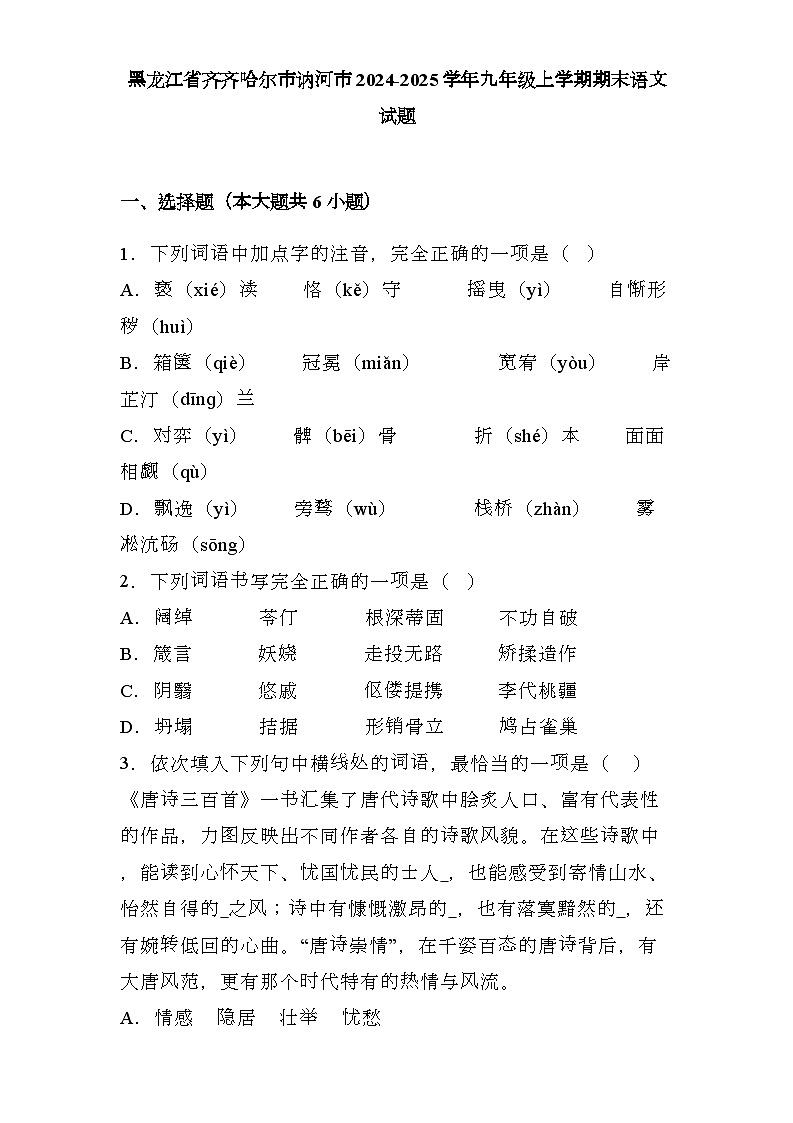 黑龙江省齐齐哈尔市讷河市2024-2025学年九年级上学期期末 语文试题（含解析）第1页
