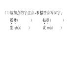 部编版九年级上册语文第四单元课件　第十六课　我的叔叔于勒