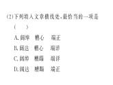 部编版九年级上册语文第四单元课件　第十六课　我的叔叔于勒