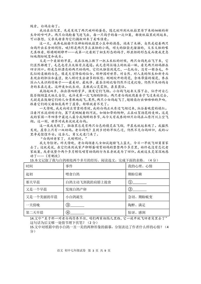 2024～2025学年江西省上饶市上七年级语文上册期末绿色评价试卷(含答案)第3页