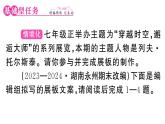 初中語(yǔ)文新人教部編版七年級(jí)下冊(cè)第一單元3 列夫·托爾斯泰 作業(yè)課件（2025春）