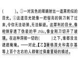 初中語(yǔ)文新人教部編版七年級(jí)下冊(cè)第一單元3 列夫·托爾斯泰 作業(yè)課件（2025春）