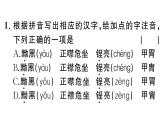 初中語(yǔ)文新人教部編版七年級(jí)下冊(cè)第一單元3 列夫·托爾斯泰 作業(yè)課件（2025春）