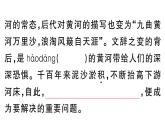 初中語文新人教部編版七年級(jí)下冊(cè)第二單元5 黃河頌 作業(yè)課件（2025春）