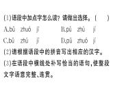 初中語文新人教部編版七年級(jí)下冊(cè)第二單元5 黃河頌 作業(yè)課件（2025春）