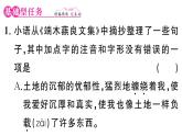 初中語文新人教部編版七年級下冊第二單元8 土地的誓言 作業(yè)課件（2025春）