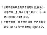 初中語文新人教部編版七年級下冊第二單元8 土地的誓言 作業(yè)課件（2025春）