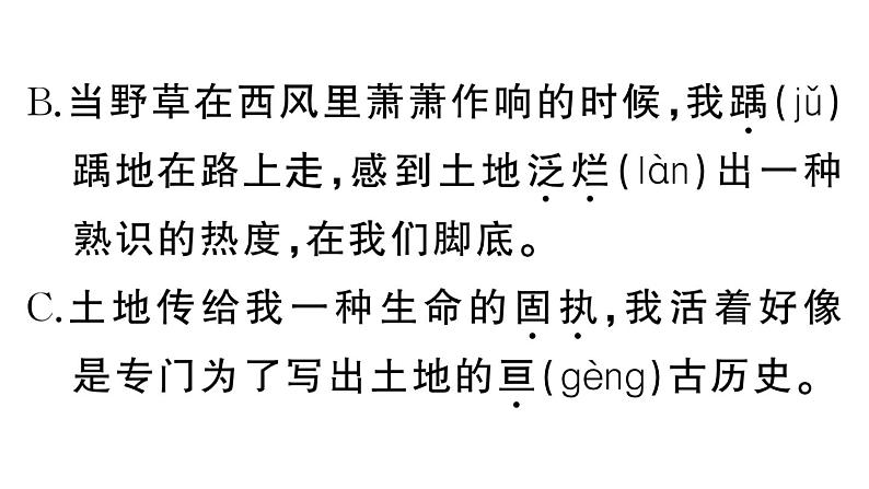 初中语文新人教部编版七年级下册第二单元8 土地的誓言 作业课件（2025春）第3页