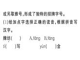 初中語文新人教部編版七年級下冊第二單元專題學習活動 我的語文生活 作業(yè)課件（2025春）