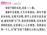 初中語文新人教部編版七年級下冊第三單元10 阿長與《山海經》 作業(yè)課件（2025春）